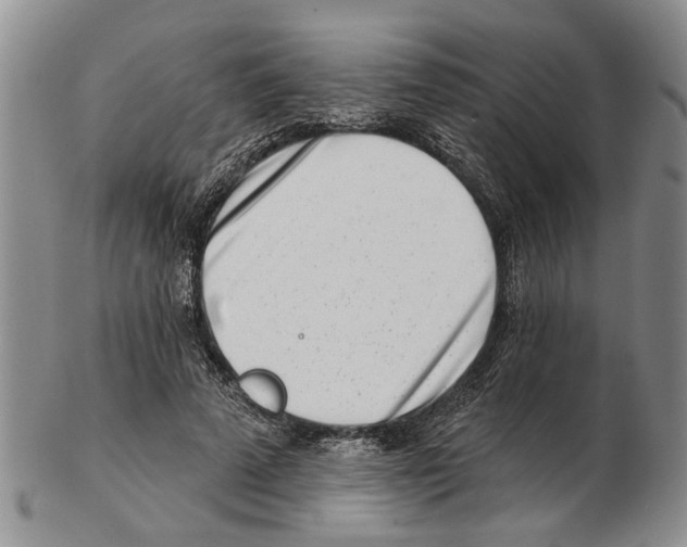 X0000102790689200809151125