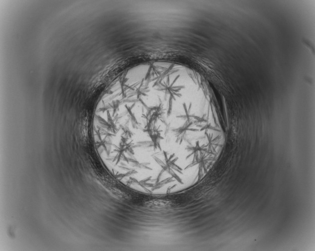 X0000102790691200809151125