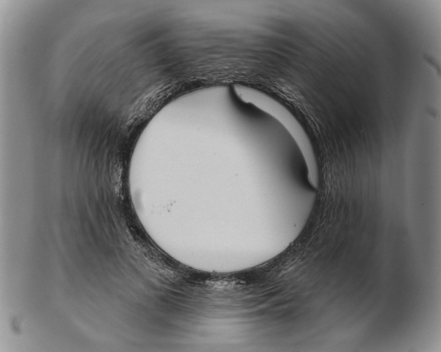 X0000102790693200809151125