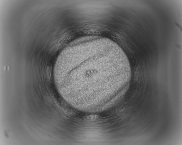 X0000102790695200809151125