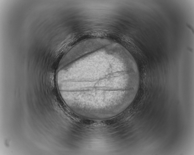 X0000102790696200809151125