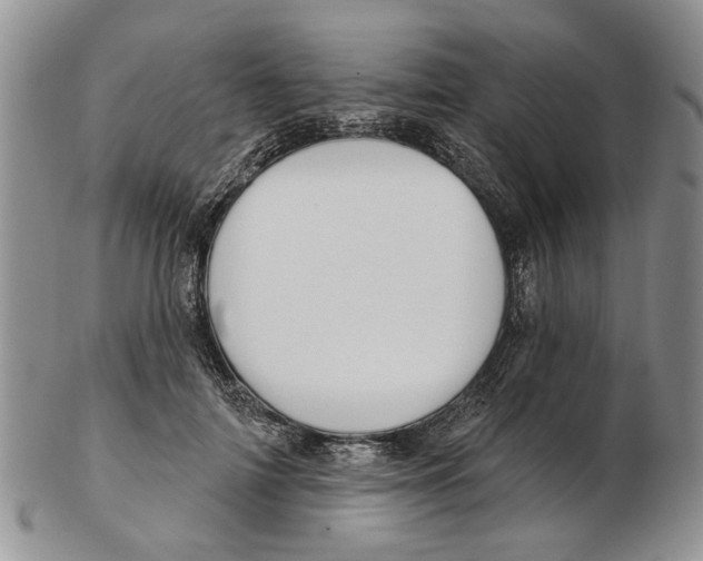 X0000102790698200809151125