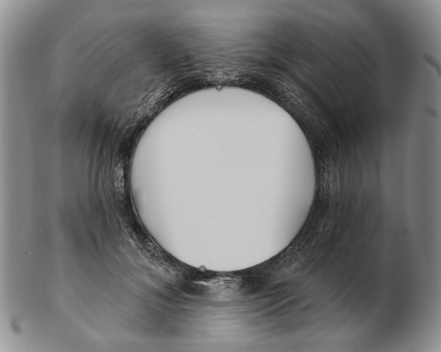 X0000102790700200809151125