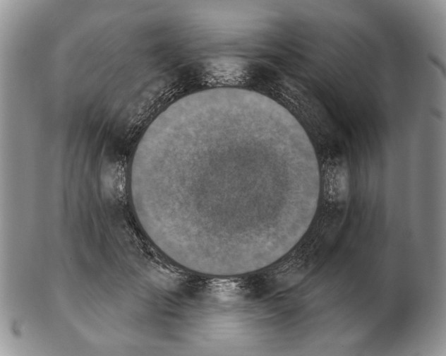 X0000102790701200809151125