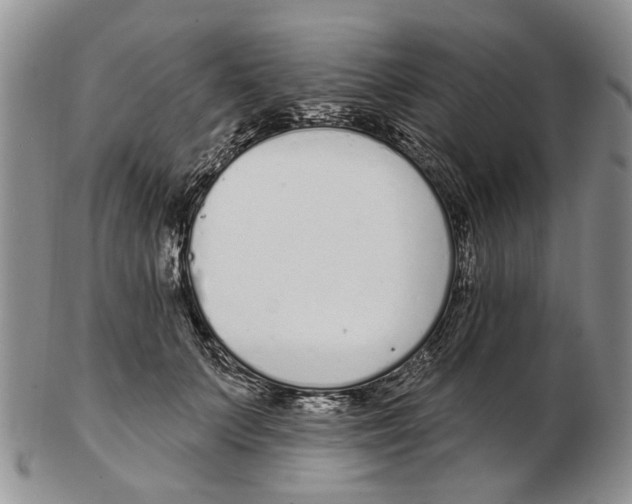 X0000102790703200809151125