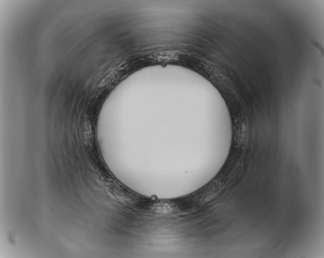 X0000102790704200809151125