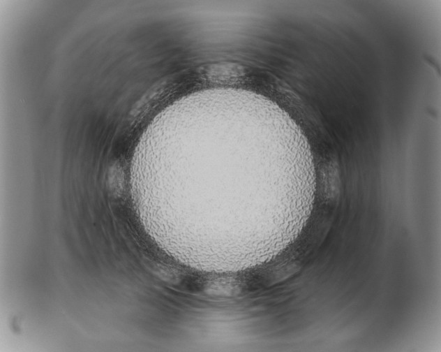 X0000102790705200809151125