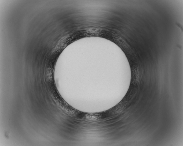 X0000102790706200809151125