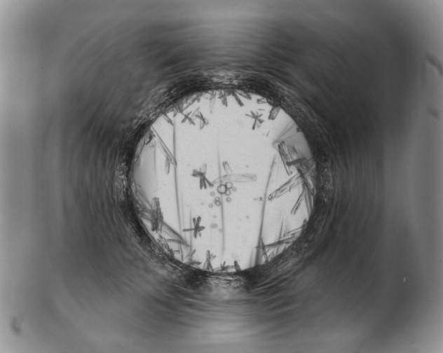 X0000102790707200809151125