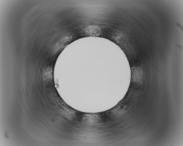 X0000102790713200809151125