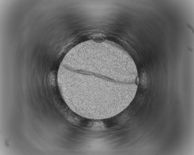 X0000102790715200809151125