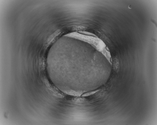 X0000102790716200809151125