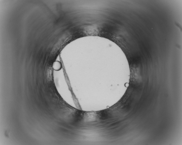 X0000102790717200809151125