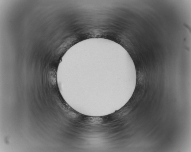 X0000102790719200809151125