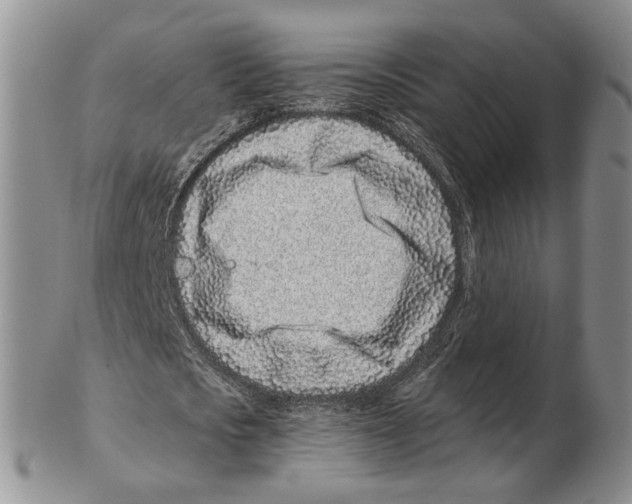 X0000102790721200809151124