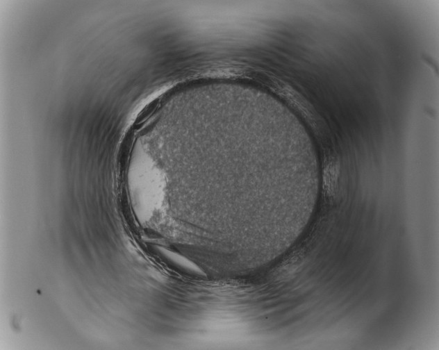 X0000102790724200809151124