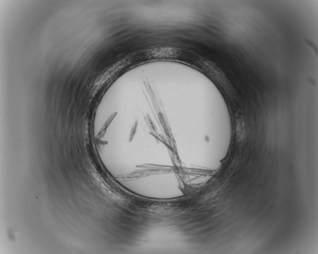 X0000102790725200809151124