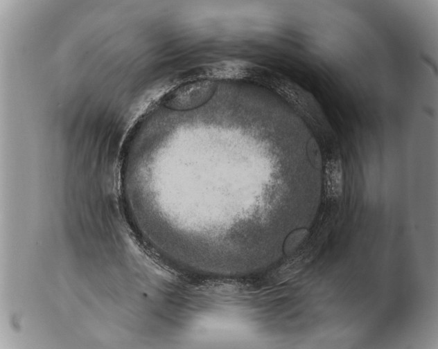 X0000102790726200809151124