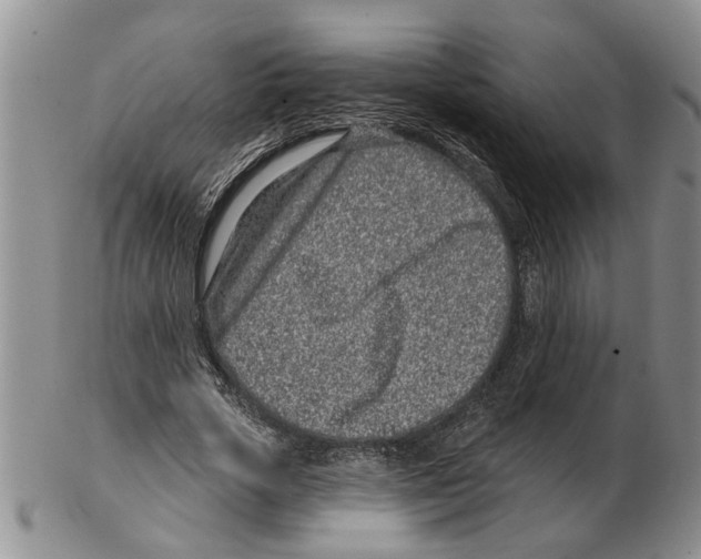 X0000102790729200809151124