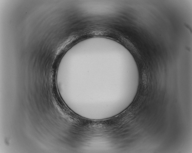 X0000102790730200809151124