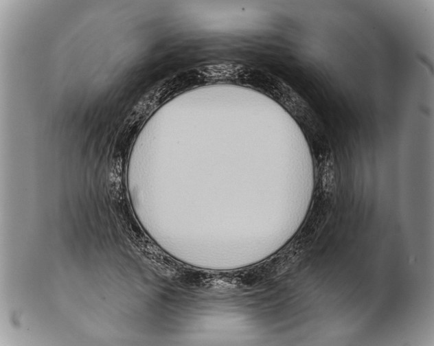 X0000102790737200809151124