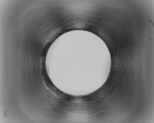 X0000102790738200809151124