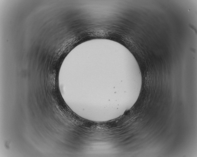 X0000102790739200809151124