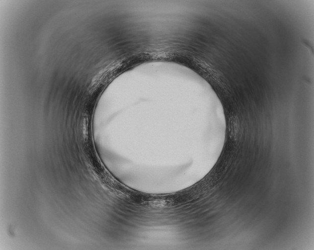 X0000102790740200809151124