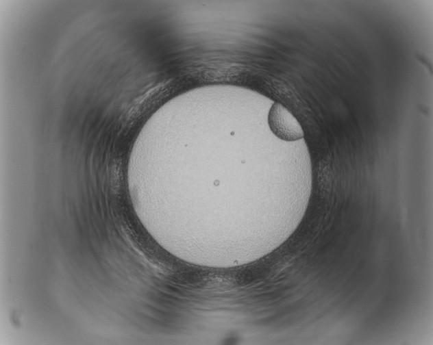 X0000102790741200809151124