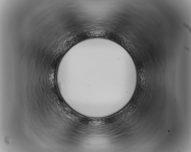 X0000102790745200809151125