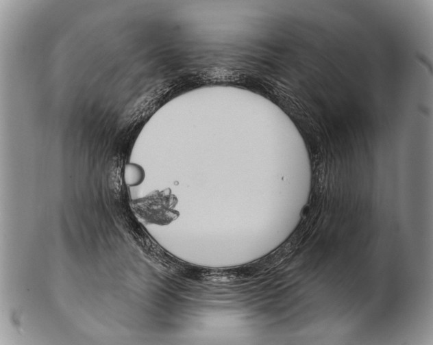 X0000102790746200809151125