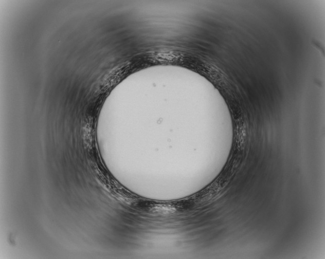 X0000102790749200809151125