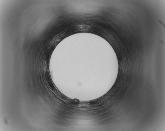 X0000102790752200809151125