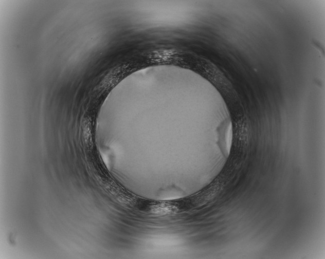 X0000102790754200809151125