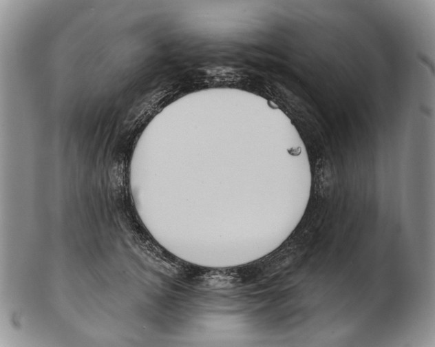 X0000102790756200809151125