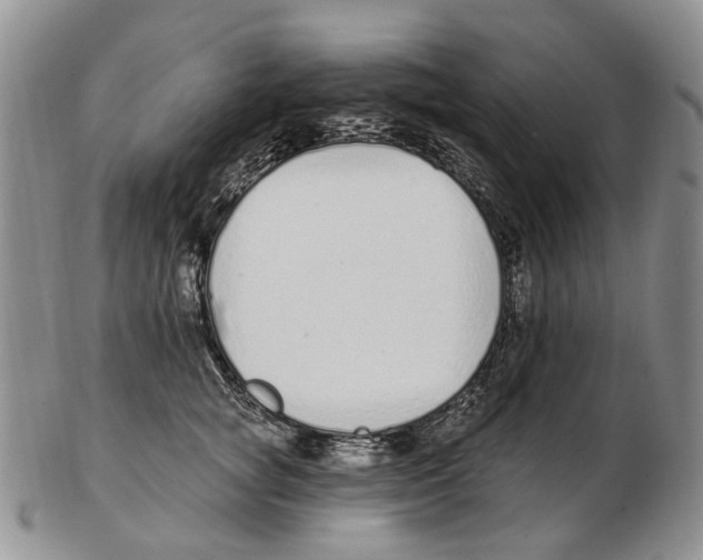 X0000102790757200809151125