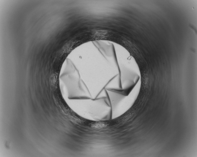 X0000102790759200809151125