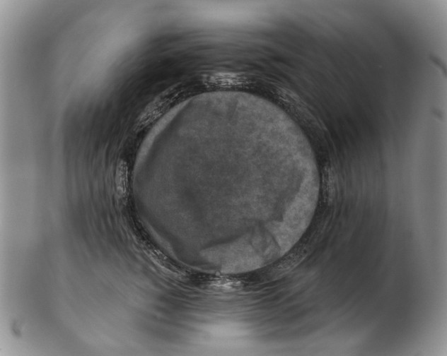 X0000102790760200809151125