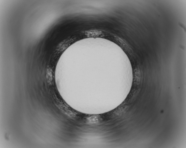 X0000102790761200809151125