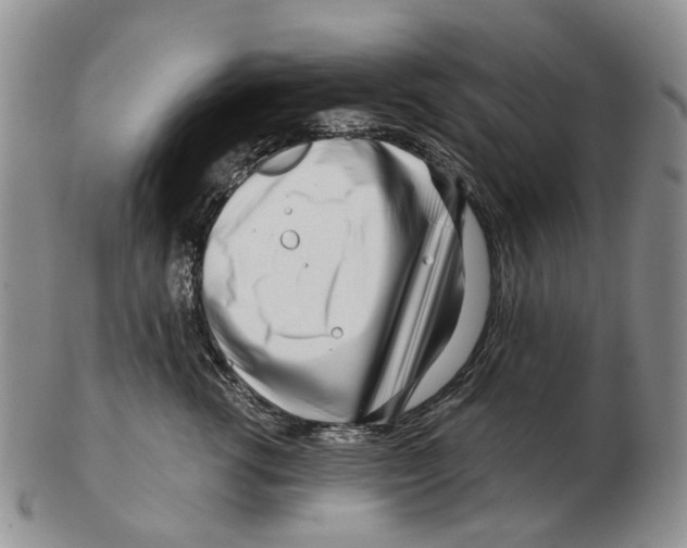 X0000102790762200809151125