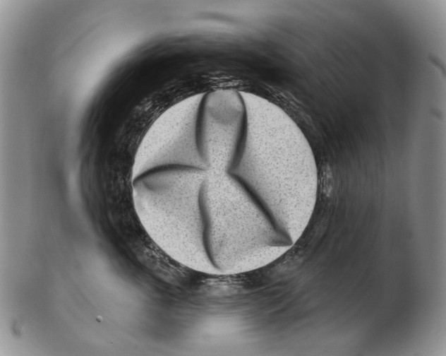 X0000102790763200809151125