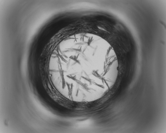 X0000102790765200809151125