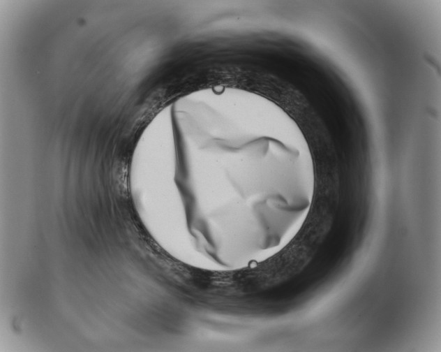 X0000102790766200809151125