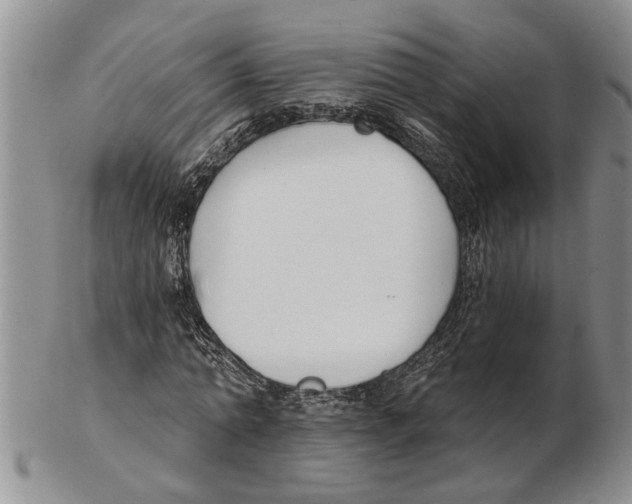 X0000102790774200809151124