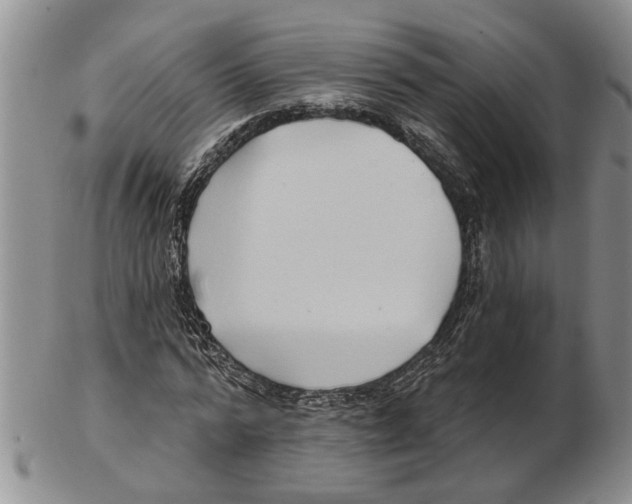 X0000102790776200809151124