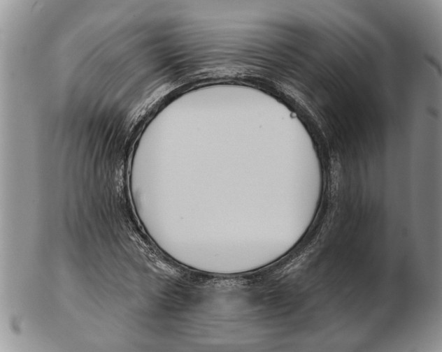 X0000102790778200809151124