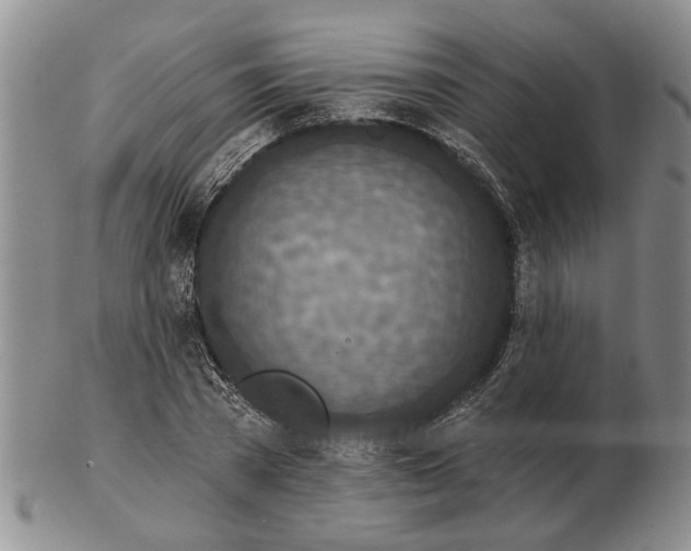 X0000102790785200809151124