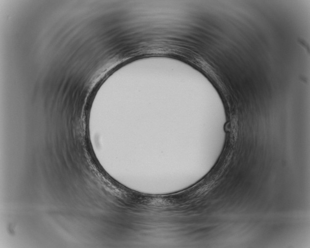 X0000102790787200809151124