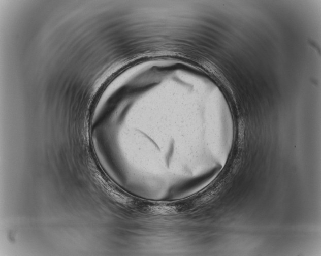 X0000102790789200809151124