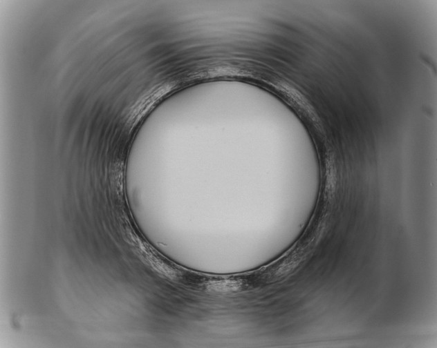 X0000102790793200809151124